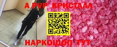 шишки Гай