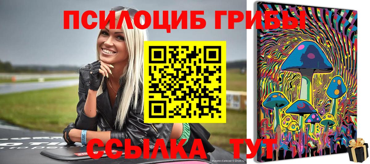 наркотики  Галлюциногенные грибы Psilocybe  Галлюциногенные грибы мухоморы  Вход с VPN  Новотроицк 